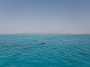248KiteMania_El Gouna